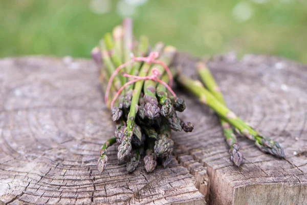 Grön Sparris Lindad Med Röd Tråd Stubbe Trä — Stockfoto