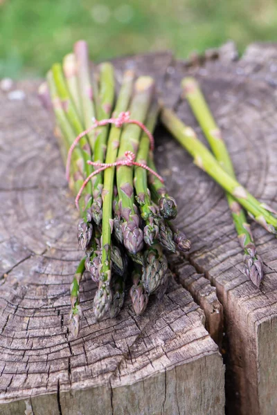 Green Asparagus Wrapped Red Thread Wooden Stump — Stock Photo, Image