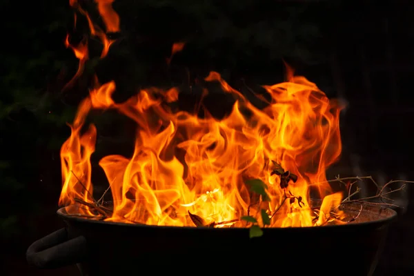 Beautiful Bright Flames Burning Branches Barbecue Night — Stock Photo, Image