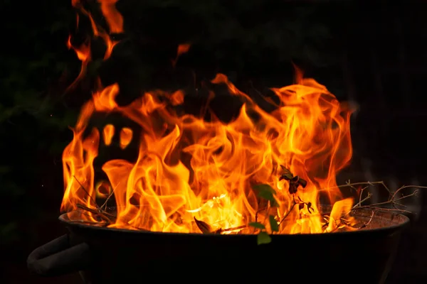 Bright Flames Burning Branches Barbecue Night Fiery Face Skull Abstraction — Stock Photo, Image
