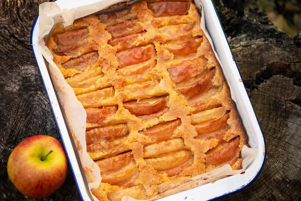 Delicious Baked Apple Pie Dark Wooden Background — Stockfoto