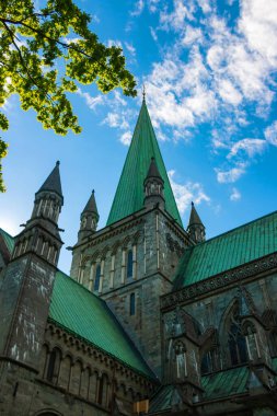 Nidaros Katedrali, (Nidarosdomen) Trondheim Norveç mavi gökyüzü arka planına sahip yeşil ağaçlar tarafından çerçevelenmiştir
