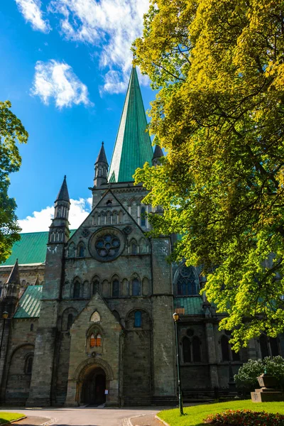 Nidaros Katedrali, (Nidarosdomen) Trondheim Norveç mavi gökyüzü arka planına sahip yeşil ağaçlar tarafından çerçevelenmiştir
