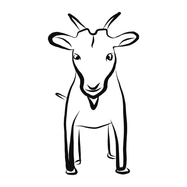 Bosquejo de cabra de granja dibujado a mano, ganado vacuno, carne de leche y cabra, un animal de cuernos de granja sobre un fondo blanco, ilustración vectorial ganado, animal de granja, icono de boceto — Vector de stock