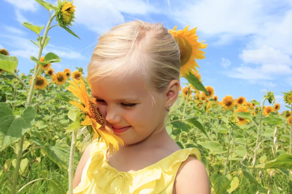 Meisje in een gebied van heldere zonnebloemen — Stockfoto