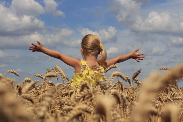 Chica en el campo de trigo — Foto de Stock