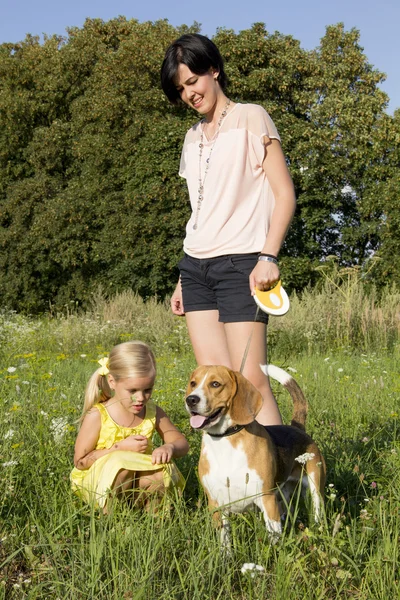 Girl with a dog in the park — Stock Photo, Image