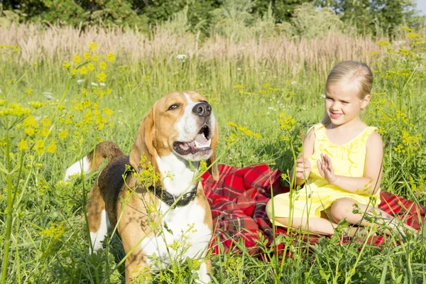 Little girl with a dog — Stock Photo, Image