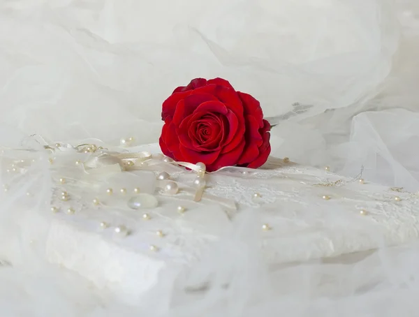 Czerwona róża kładzie na album ze zdjęciami — Zdjęcie stockowe