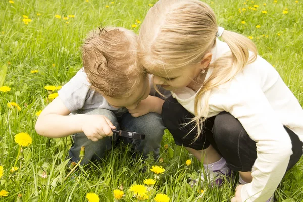 Garçon et fille regardant à travers une loupe — Photo