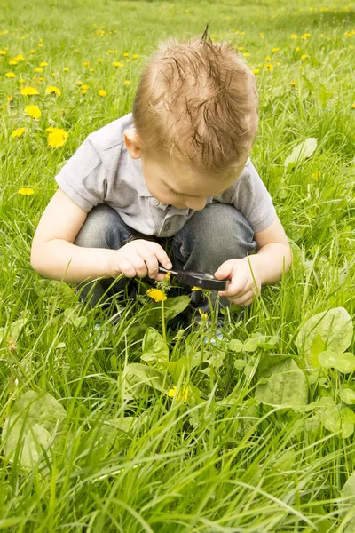 少年は草の上に虫眼鏡を通して見る — ストック写真