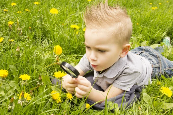 Мальчик смотрит через лупу на траве — стоковое фото