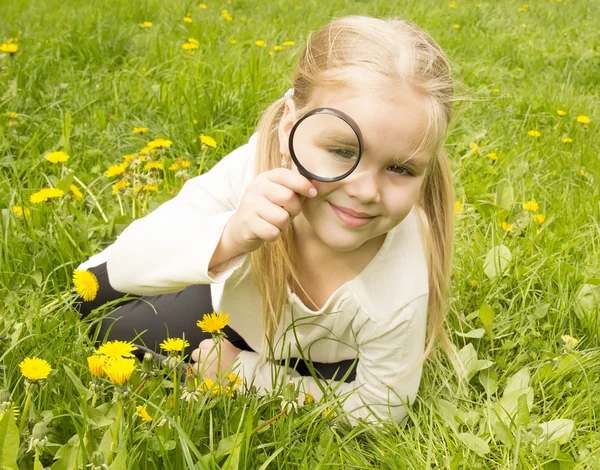 girl considers dandelions flower through a magnifying glass