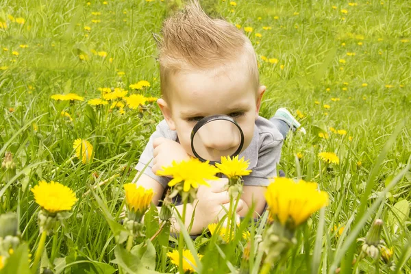 Pojken tittar genom ett förstoringsglas på gräset Stockbild