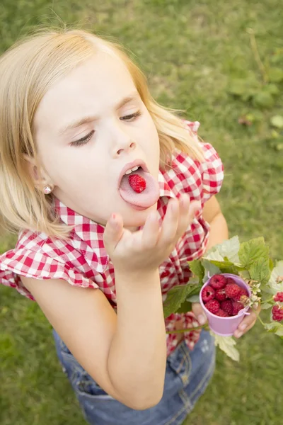 Mädchen hält Himbeeren in der Hand — Stockfoto