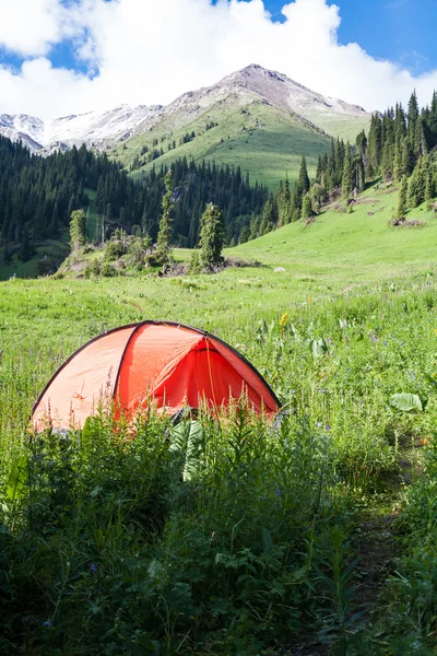 山の中のテント — ストック写真