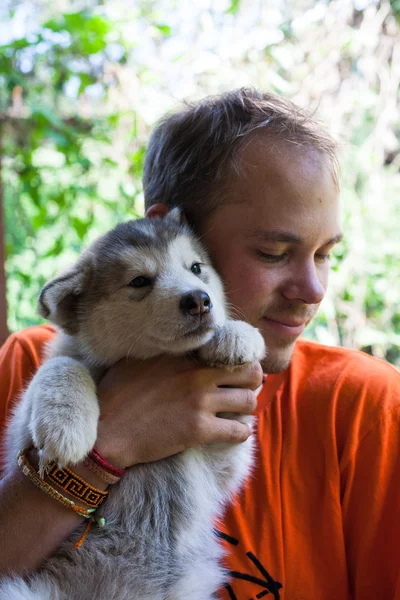 Bir köpek yavrusu malamute bir erkekle — Stok fotoğraf