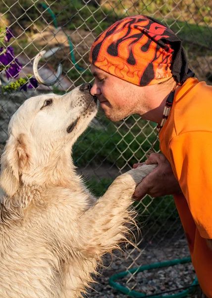 Man kissing a dog labrador — Stock Photo, Image