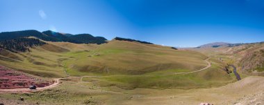 panarama yollar ve otlaklar ve hayvanlar