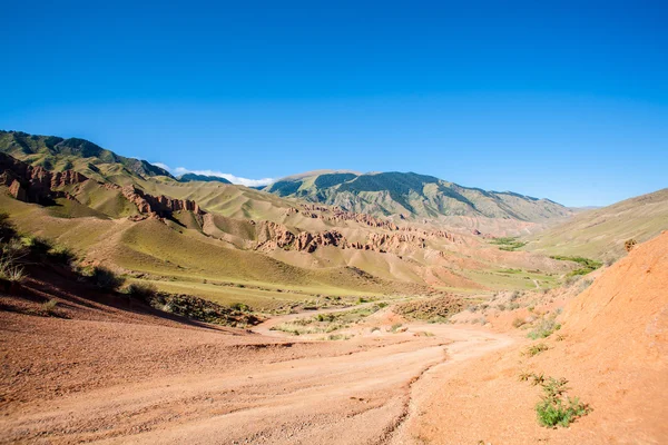 Panarama caminos y pastizales y animales — Foto de Stock