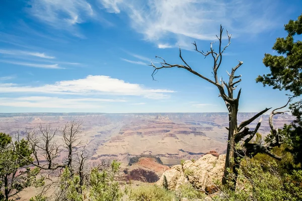 A legnagyobb csoda, a természet a grand canyon — Stock Fotó