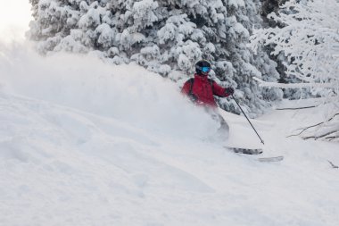 Freeride