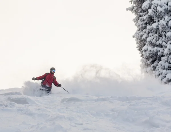 Freeride — Stock Photo, Image