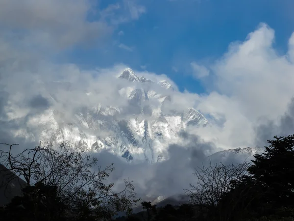 Belleza natural del Himalaya, zona forestal —  Fotos de Stock