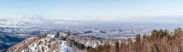 Winter panorama of the city — Stock Photo, Image