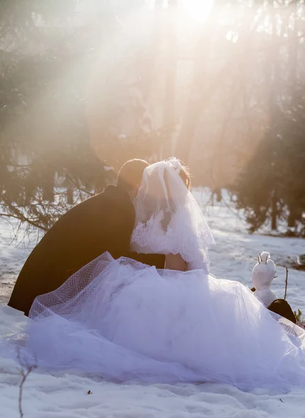 O casamento de dois amantes, inverno, patinação no gelo, sorriso — Fotografia de Stock