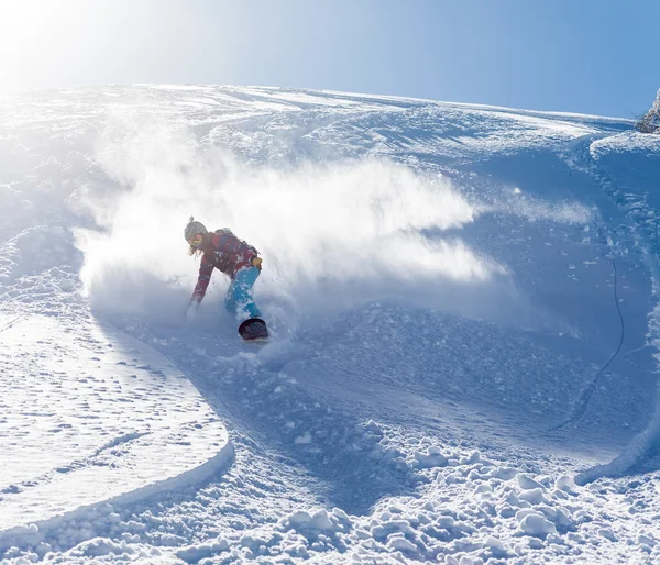 Aktif kış tatilleri, Kayak ve snowboard — Stok fotoğraf