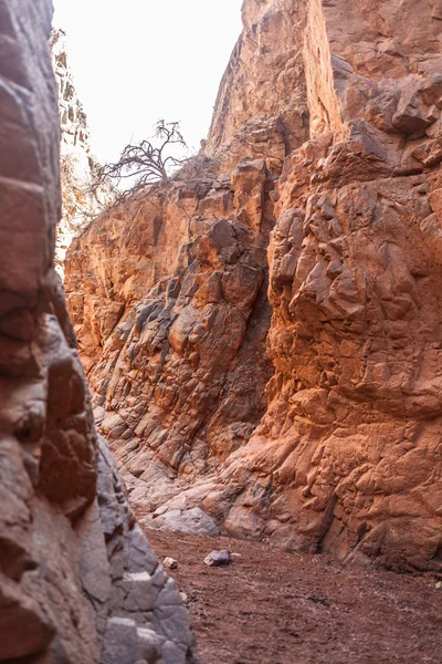 Mooi zandstrand canyon — Stockfoto