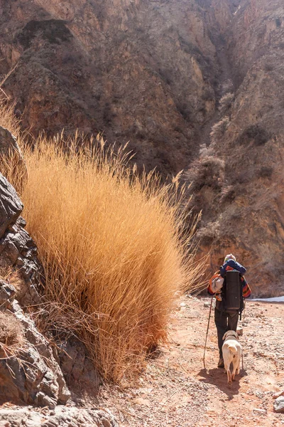 Человек ходит по горам и каньонам — стоковое фото