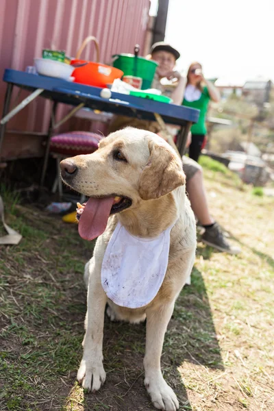 Niña en la fiesta Rolet —  Fotos de Stock