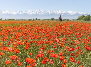 erkek çiçekler çim üzerinde yalan