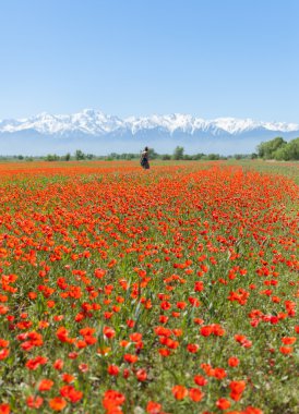 erkek çiçekler çim üzerinde yalan