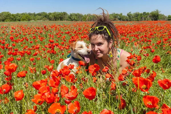 Mensen spelen met de hond op de wilde tulpen — Stockfoto
