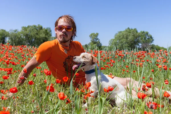 People play with the dog on the wild tulips — Stock Photo, Image