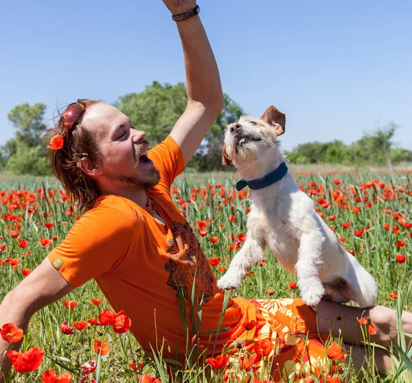 People play with the dog on the wild tulips — Stock Photo, Image