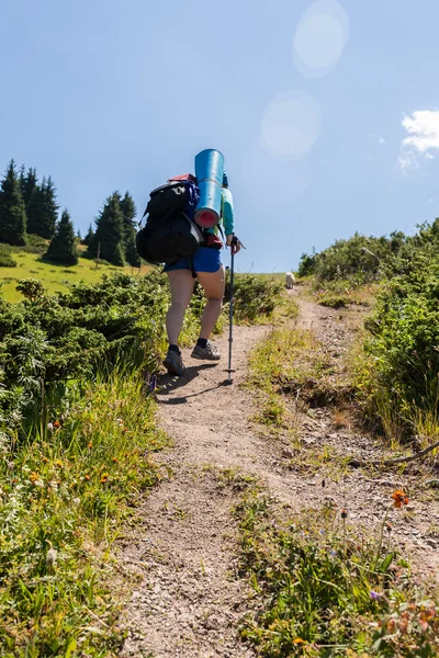 Människor går till en fjällvandring på en vacker sommardag. — Stockfoto