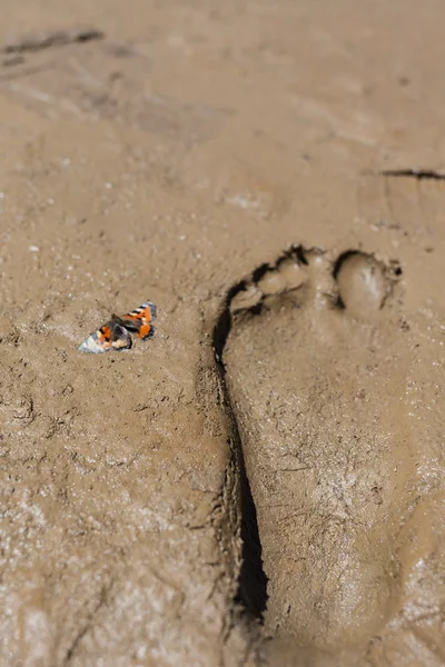 Human footprints in the soft clay otsavlennye — Stock Photo, Image
