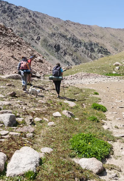 Les gens vont à une randonnée en montagne par une belle journée d'été . — Photo