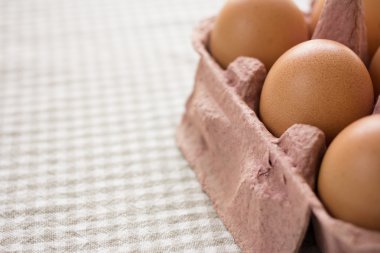 taze organik yumurta