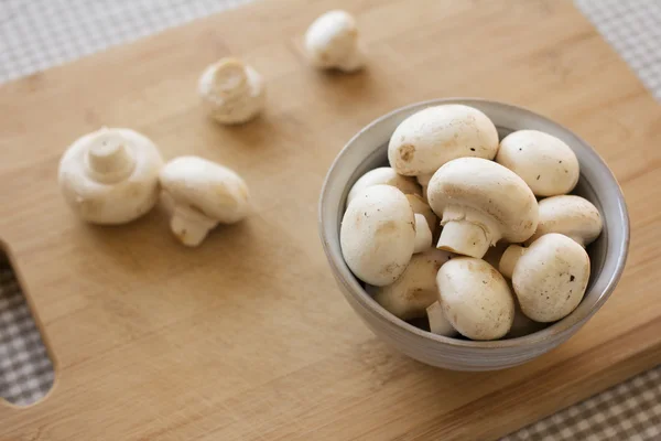 Champignons à boutons blancs — Photo