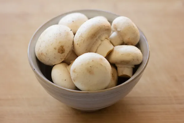 Champignons à boutons blancs — Photo