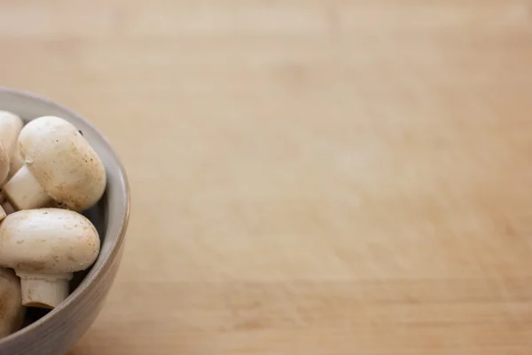 Champignons à boutons blancs — Photo