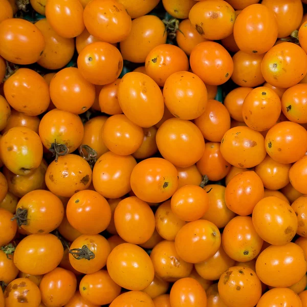 Yellow tomatoes background — Stock Photo, Image