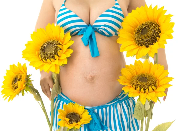 Gravid kvinna Stockbild
