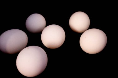 Seçici odaklı siyah arkaplanda yumurtalar