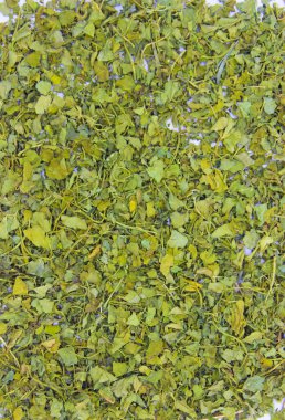 Kasuri Methi beyaz arka planda seçici odaklı